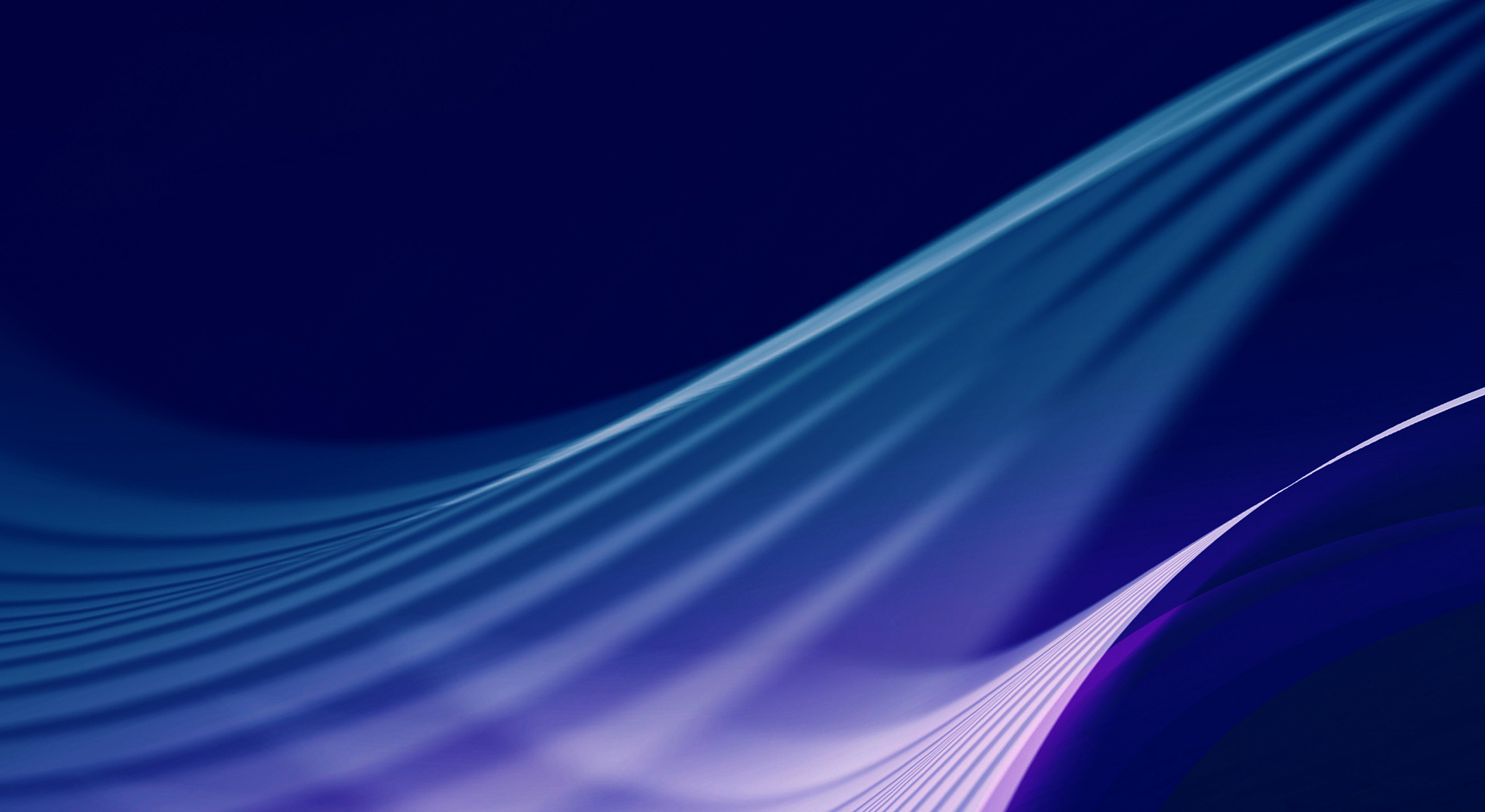 assets/img/header-bg2.jpg